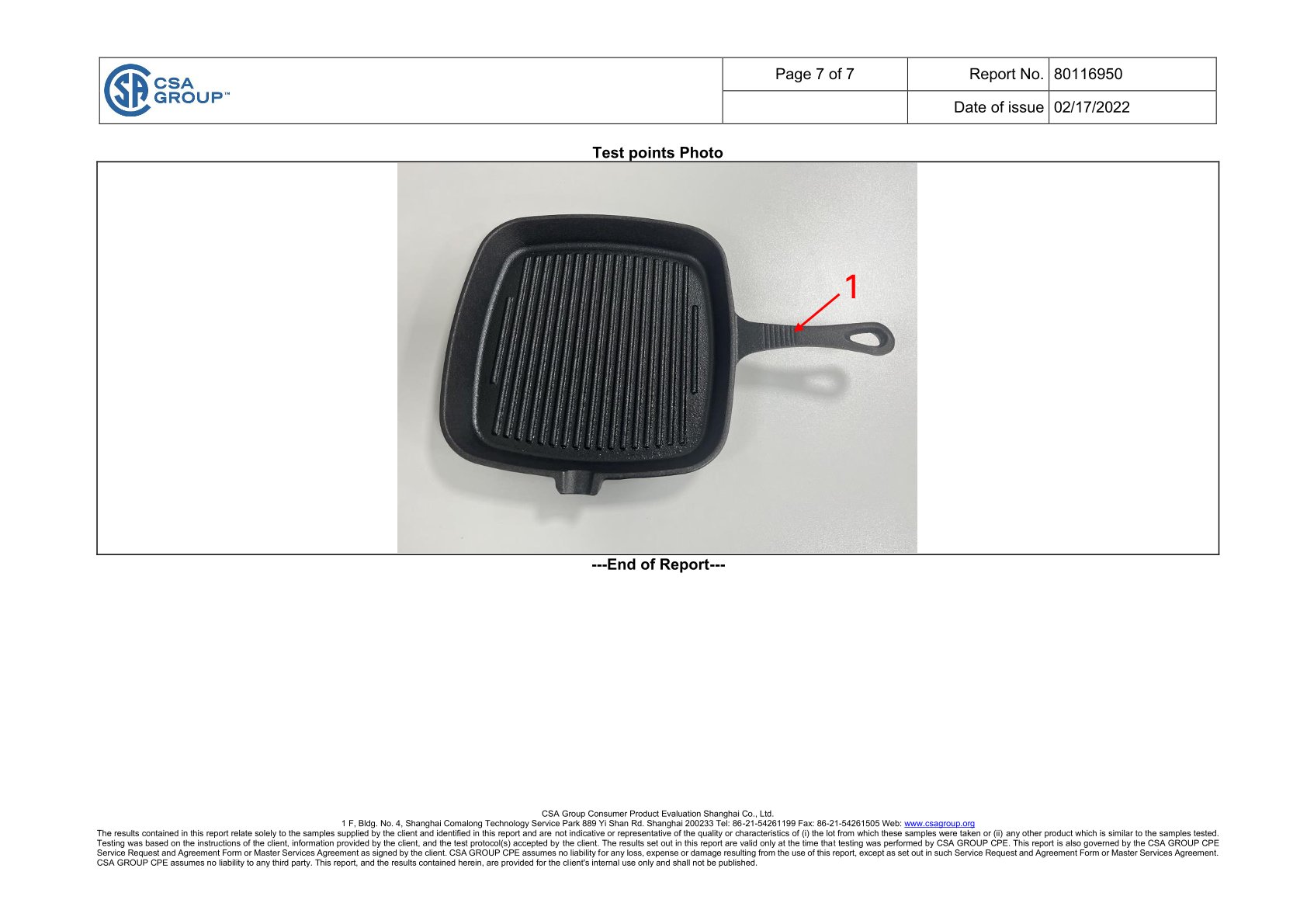 pumpkin cast iron casserole dish